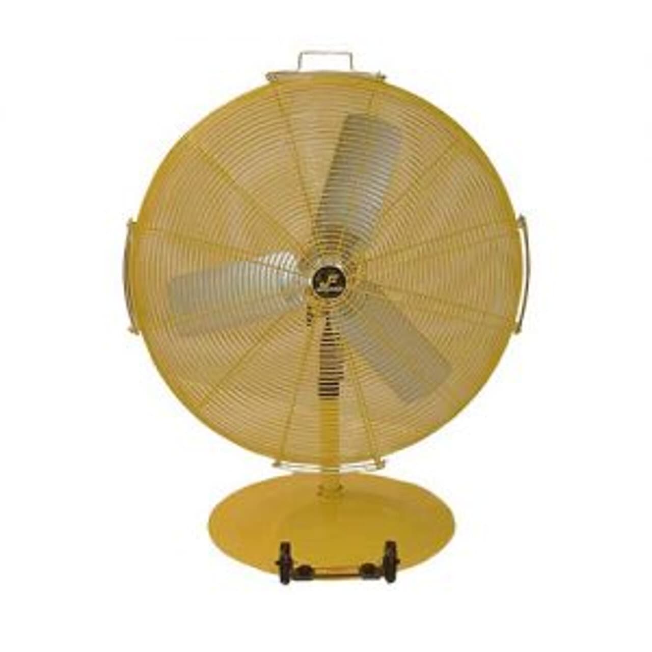 Jan Fan
